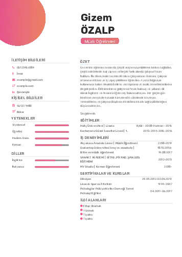 Müzik Öğretmeni Cv Örnekleri cv indir